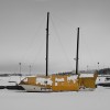 yacht in yellow