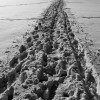 giant caterpillar tracks