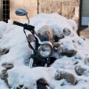 covered in snow