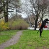 Jumping Dog