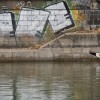 Rettungszille 18